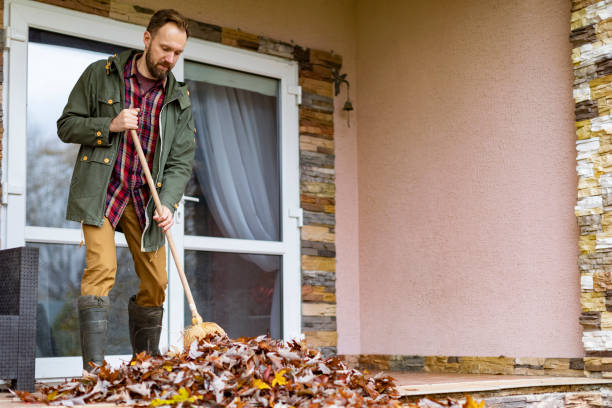Best Junk Hauling Services  in Rosemont, IL
